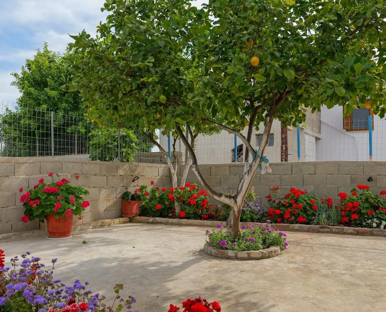 קסאמיל Brahimi Guest House 0*,  אלבניה